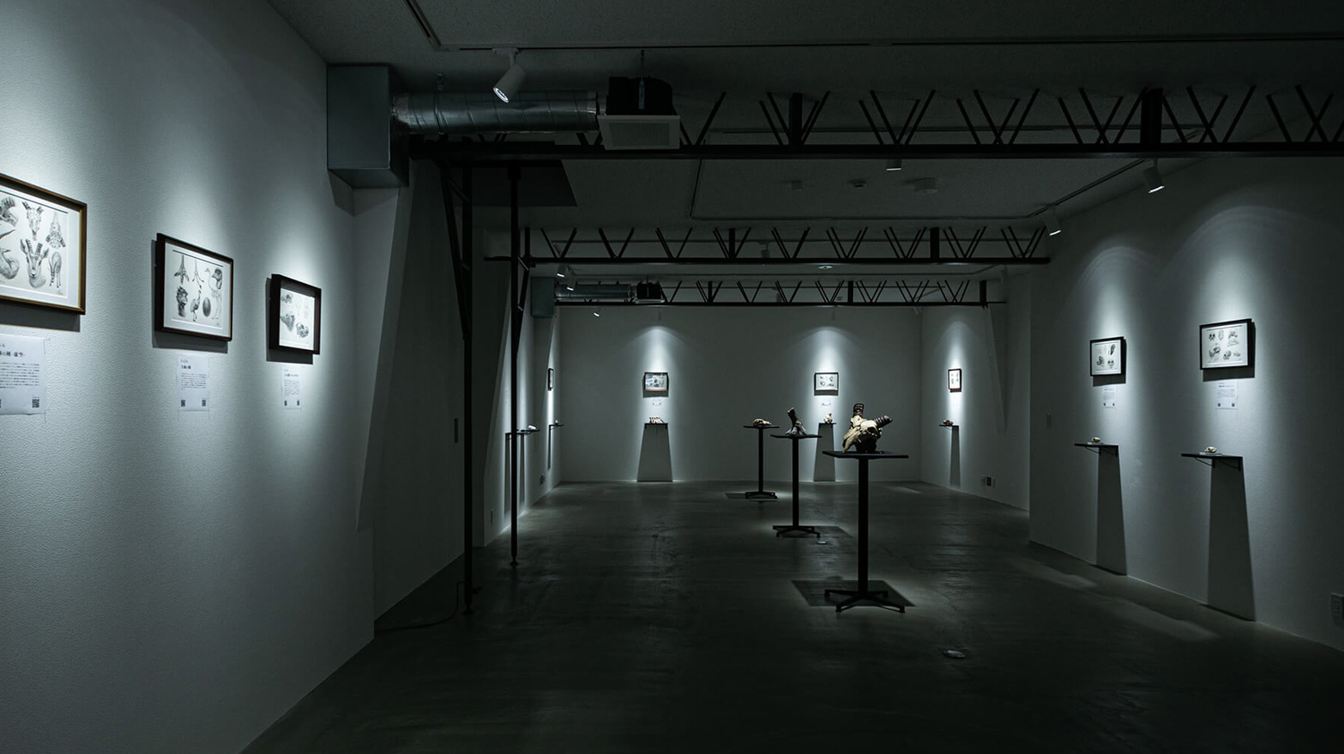 アーティスト：展覧会